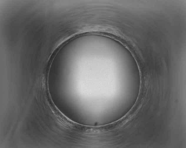 X0000083531505200702240004