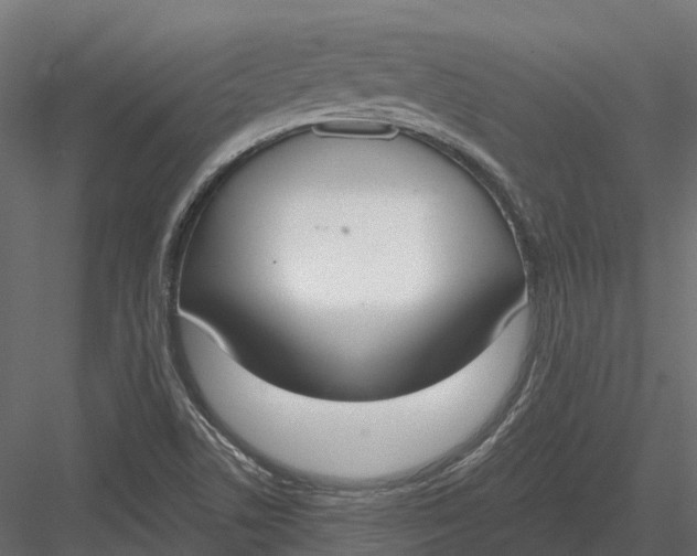 X0000083531506200702240004