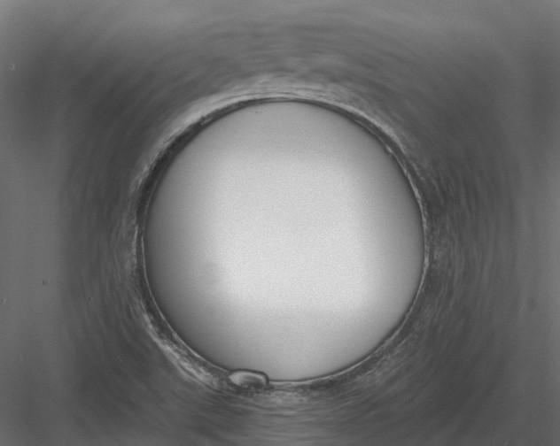 X0000083531507200702240004