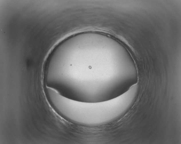 X0000083531508200702240004