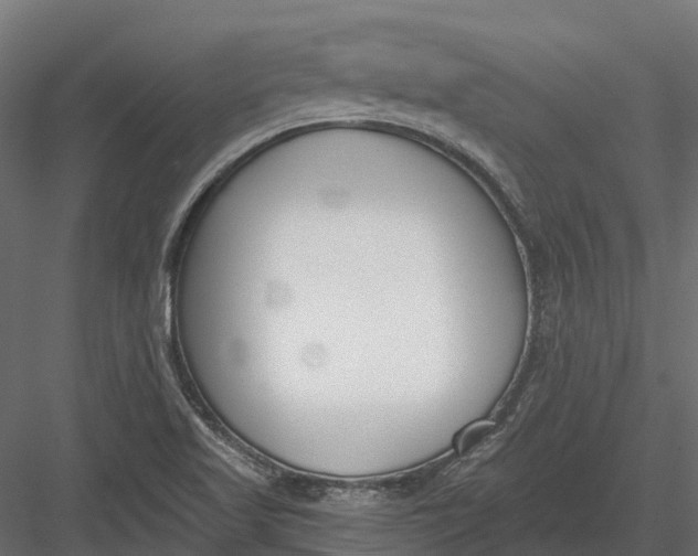 X0000083531509200702240004