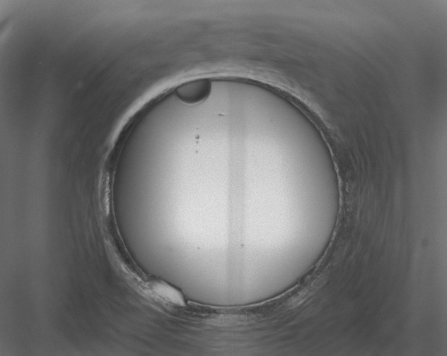 X0000083531510200702240004