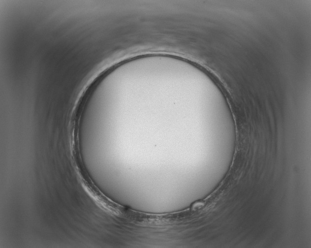 X0000083531511200702240004