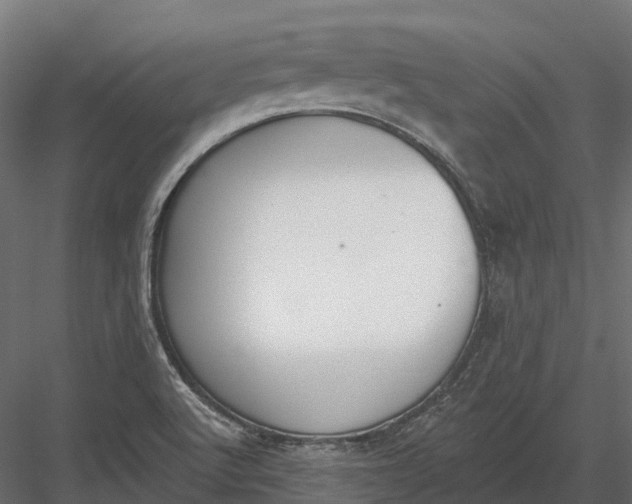 X0000083531512200702240004