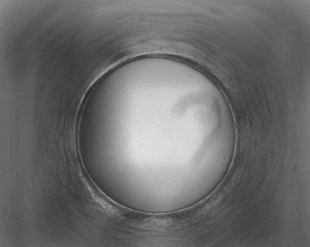 X0000083531513200702240004