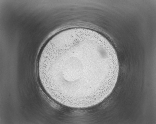 X0000083531514200702240004