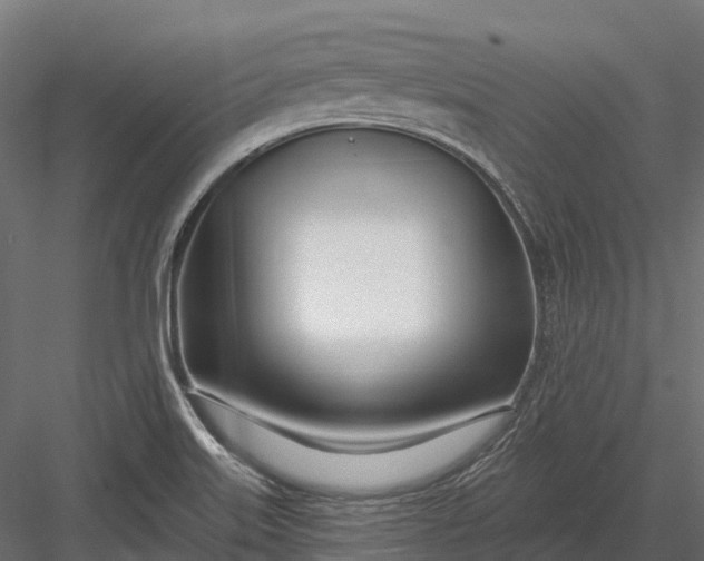 X0000083531515200702240004