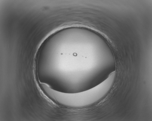 X0000083531518200702240004