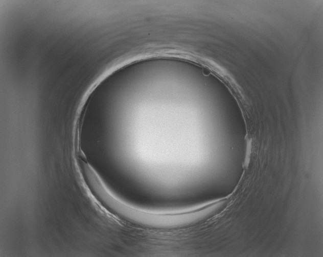 X0000083531520200702240004