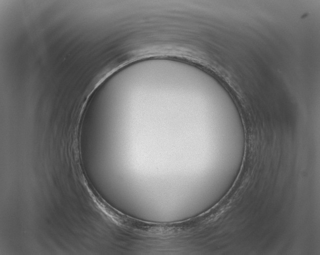 X0000083531521200702240004