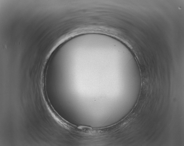 X0000083531523200702240004