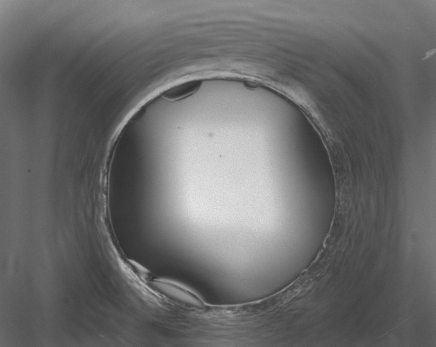 X0000083531524200702240004