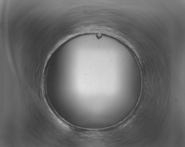 X0000083531525200702240004