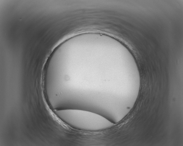 X0000083531526200702240005