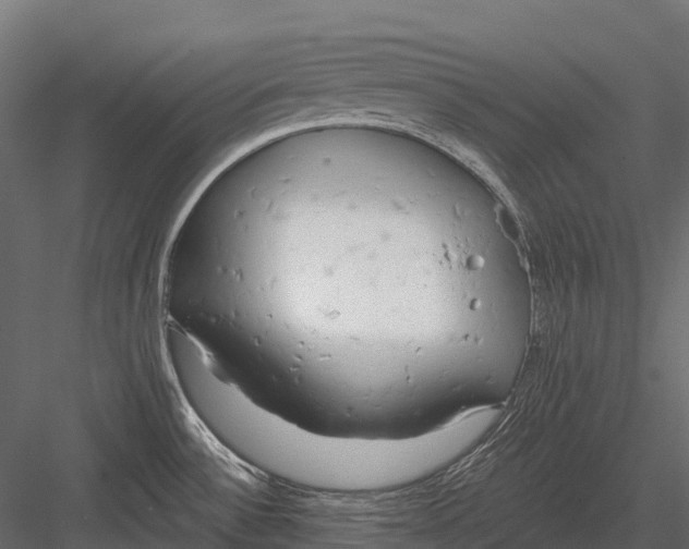 X0000083531532200702240005