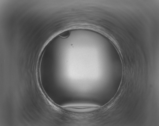 X0000083531533200702240005