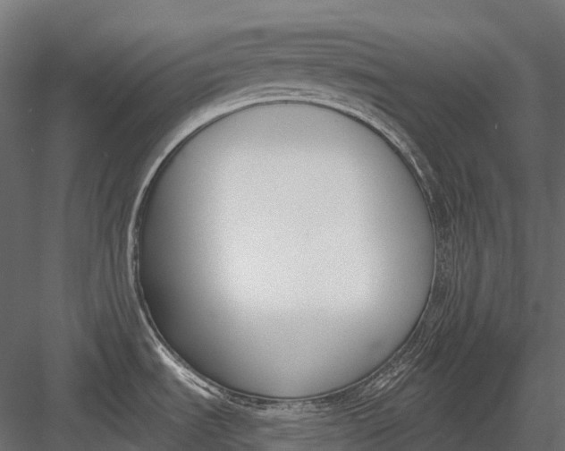 X0000083531535200702240005