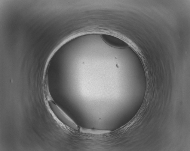 X0000083531536200702240005