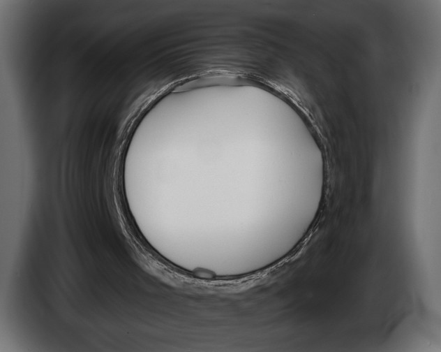 X0000083530001200703021606