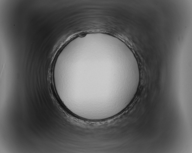 X0000083530002200703021606