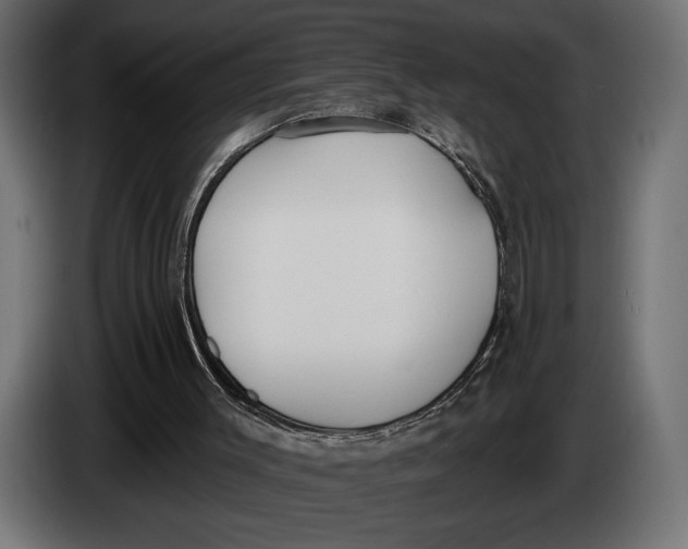 X0000083530003200703021606