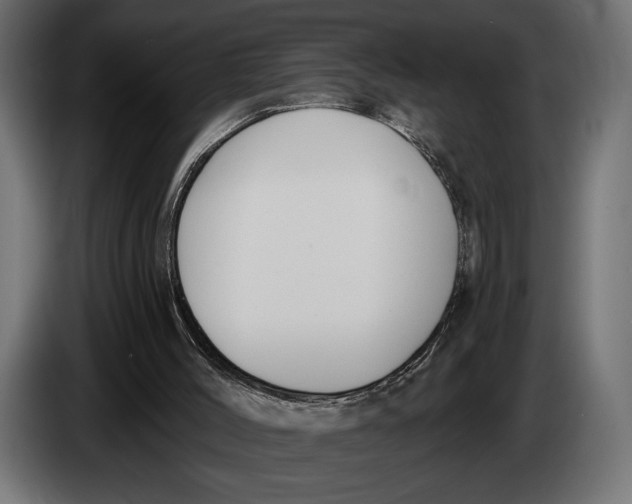 X0000083530004200703021606