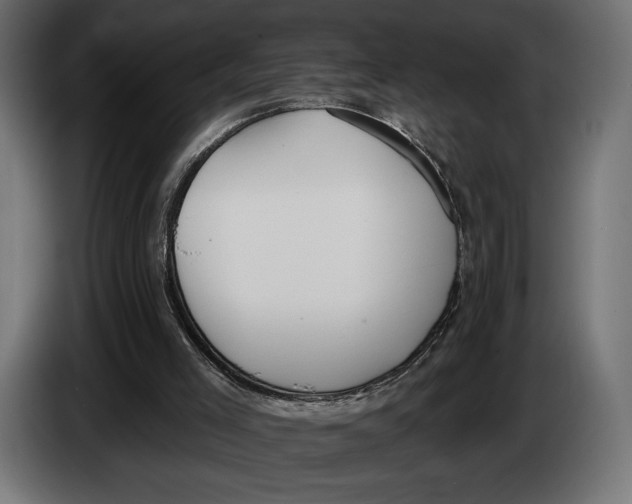 X0000083530005200703021606