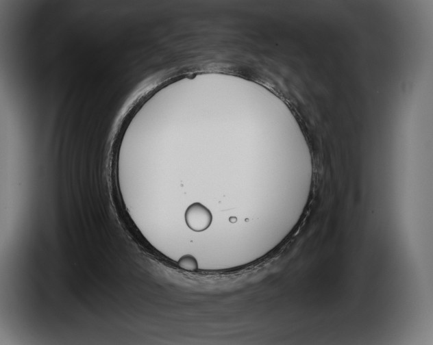 X0000083530006200703021606