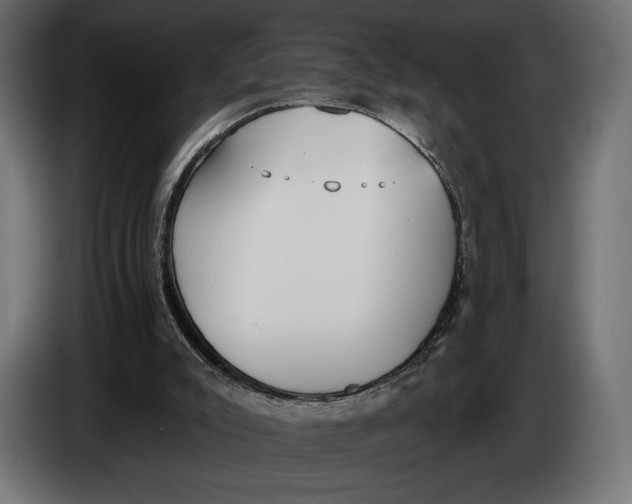 X0000083530007200703021606