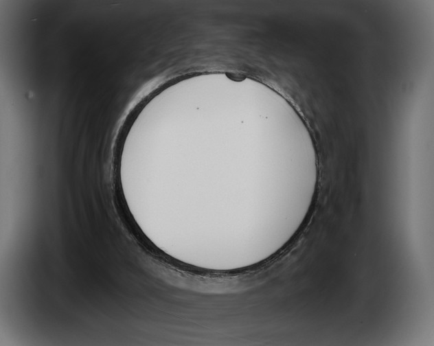 X0000083530008200703021606