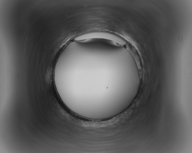 X0000083530009200703021606