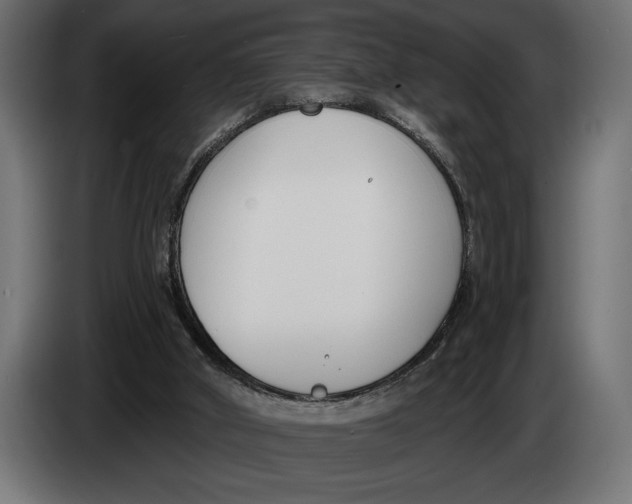 X0000083530010200703021606