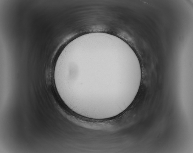 X0000083530012200703021606