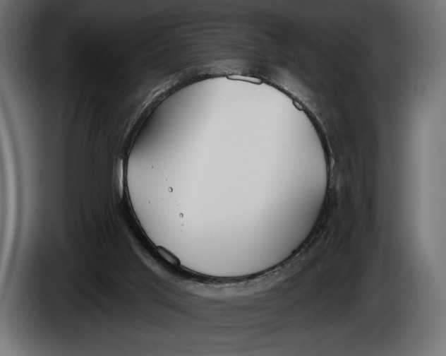 X0000083530013200703021606