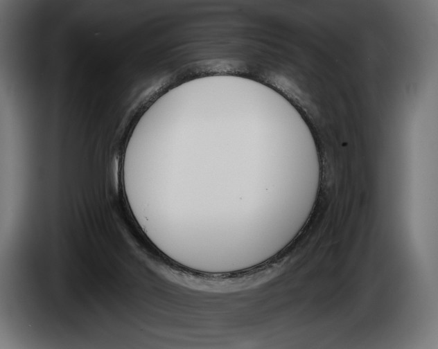 X0000083530014200703021606