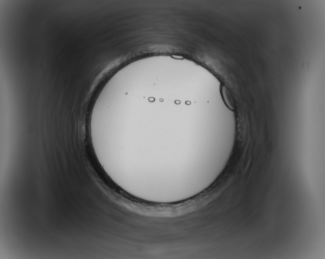 X0000083530015200703021606