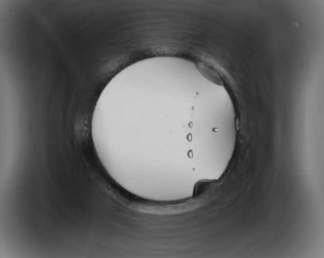 X0000083530017200703021606