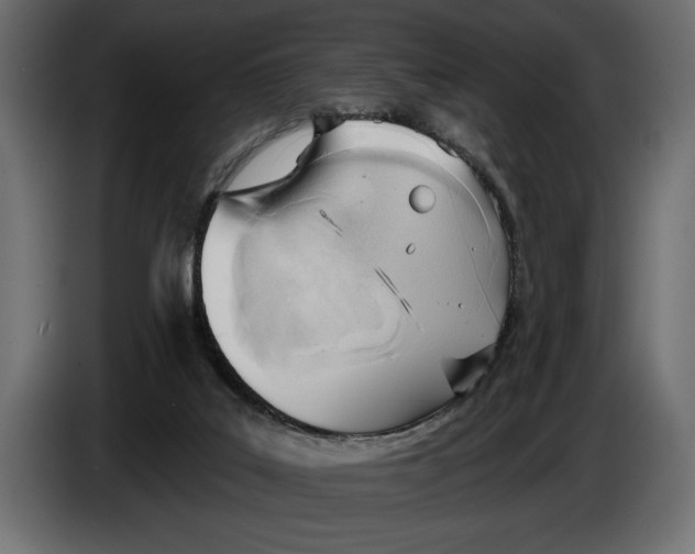 X0000083530019200703021606