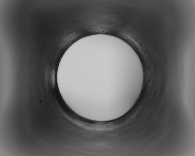 X0000083530020200703021606