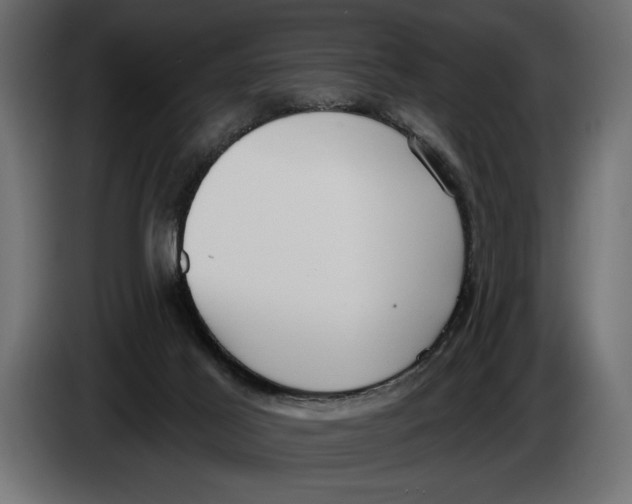 X0000083530021200703021606