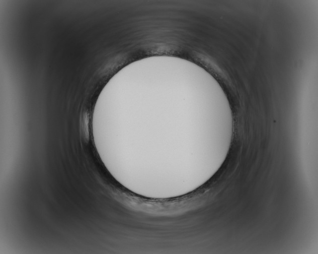 X0000083530022200703021606