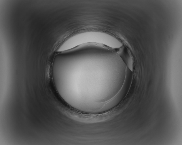 X0000083530023200703021606