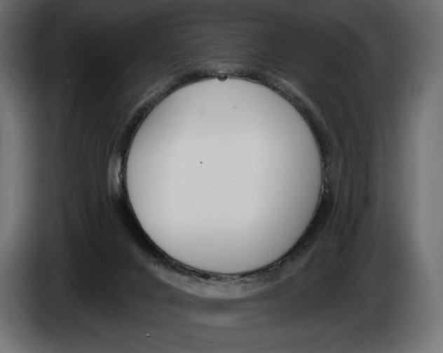 X0000083530024200703021606