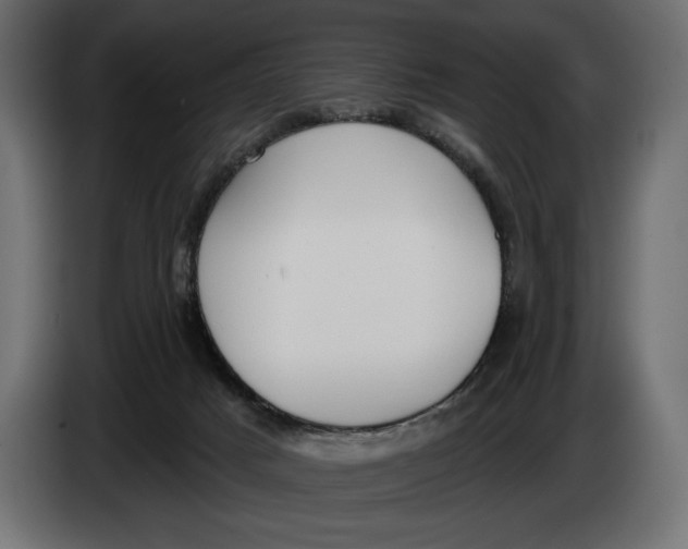 X0000083530025200703021606