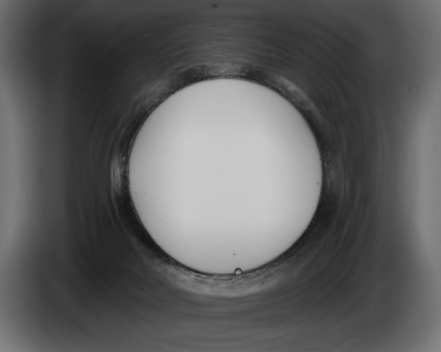 X0000083530026200703021606