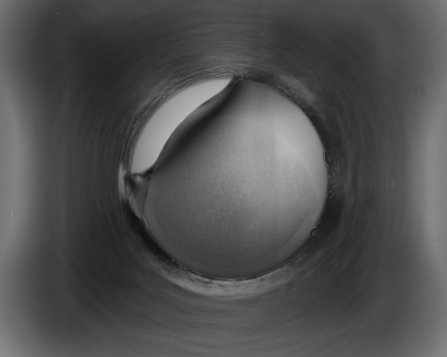 X0000083530027200703021606