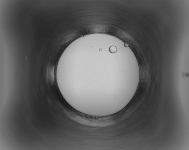 X0000083530028200703021606