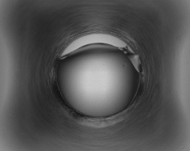 X0000083530029200703021606