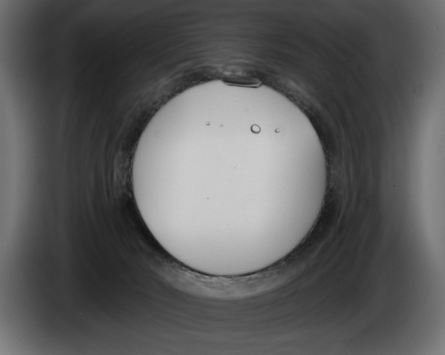 X0000083530030200703021606