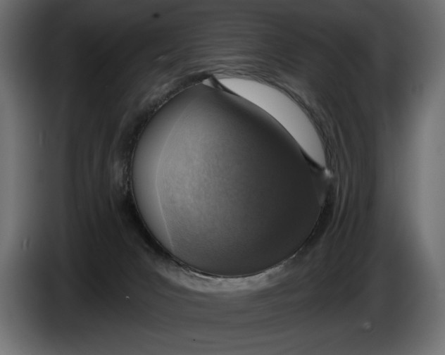 X0000083530031200703021606